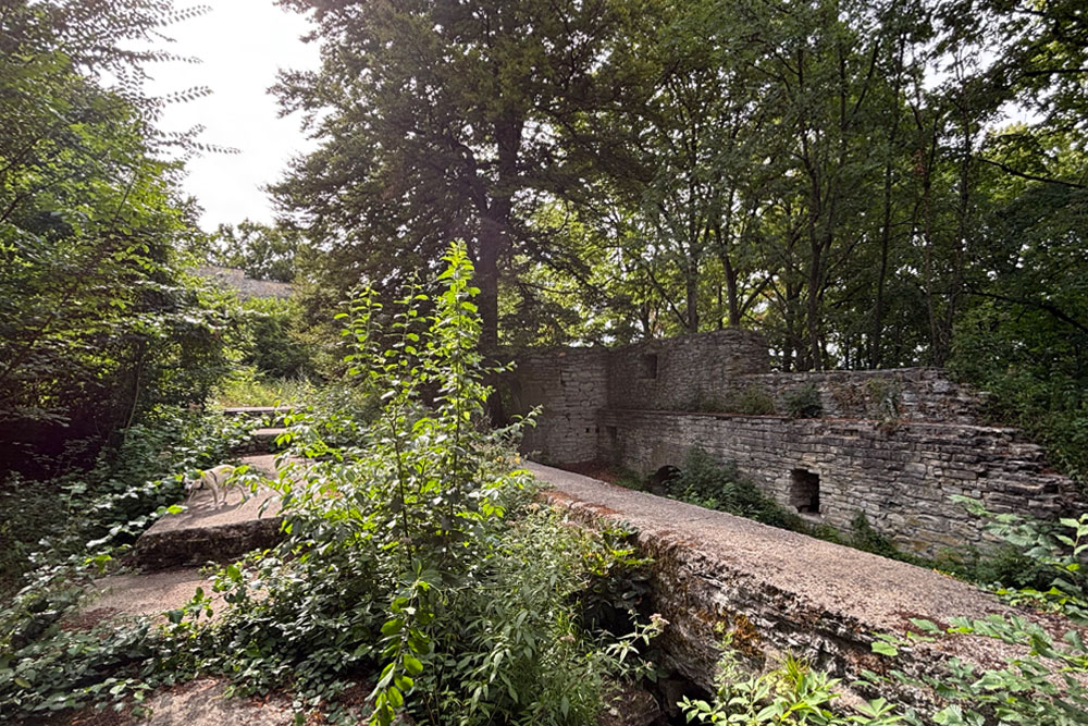 Alte Burg (Oberhausen) (Neuburg an der Donau) im Landkreis Neuburg-Schrobenhausen