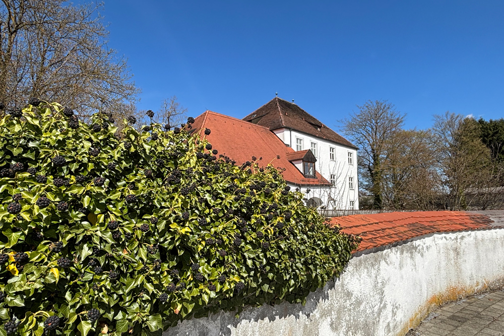 Schloss-Koesching-08-web