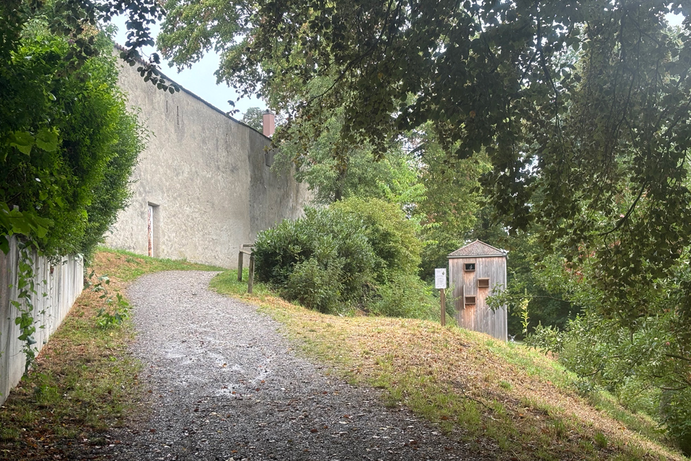 Stadtbefestigung-Schongau-Ringmauer-10-web